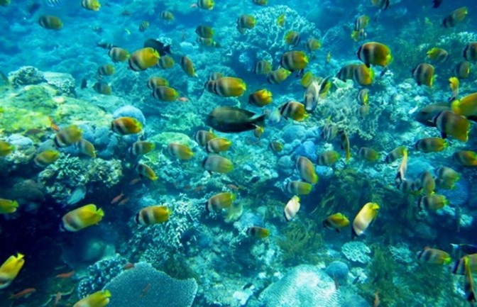 Snorkeling_Wall_Point