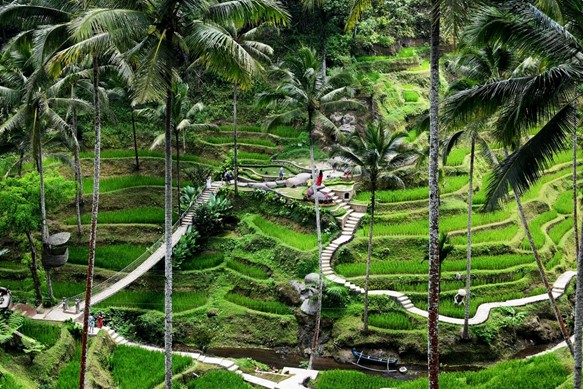 Tour_Ubud